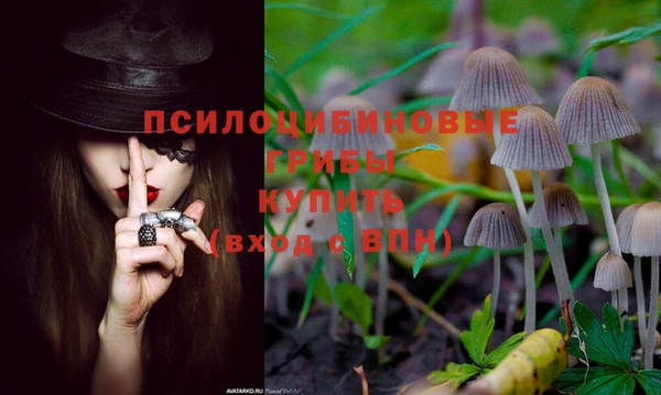 скорость Богданович