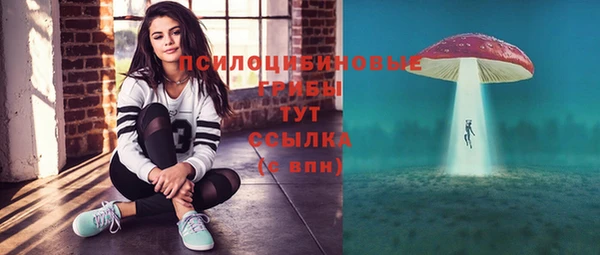 скорость Богданович
