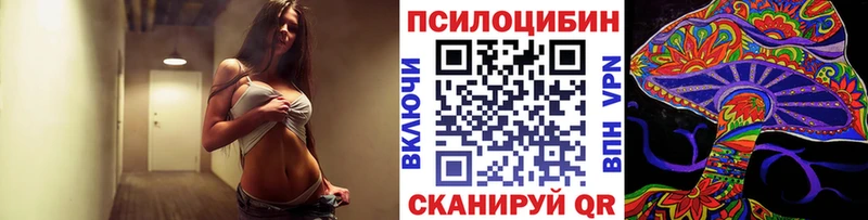 цена   Туапсе  Псилоцибиновые грибы Magic Shrooms 